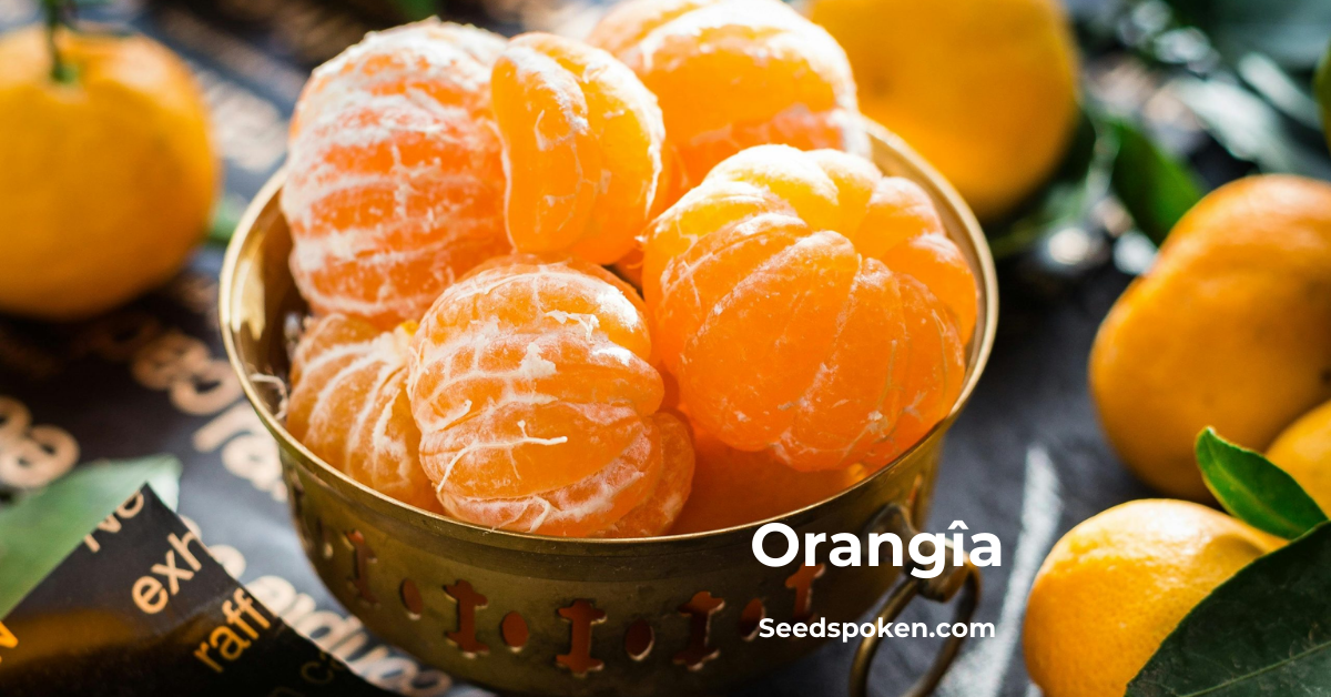 Orangîa