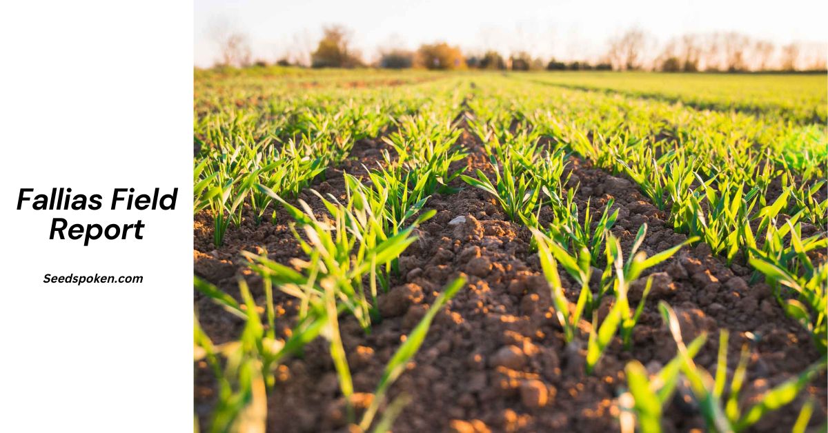 Fallias Field Report: A Comprehensive Guide to Soil Quality and Crop Performance