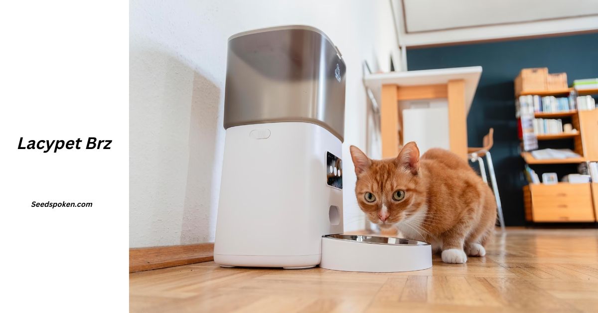 Lacypet Brz_ The Ultimate Smart Feeder for Your Furry Friends