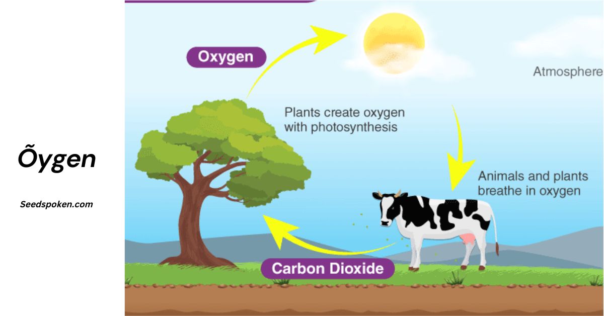 Õygen_ A Comprehensive Guide to the Essential Element